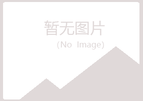 芝山区映容会计有限公司